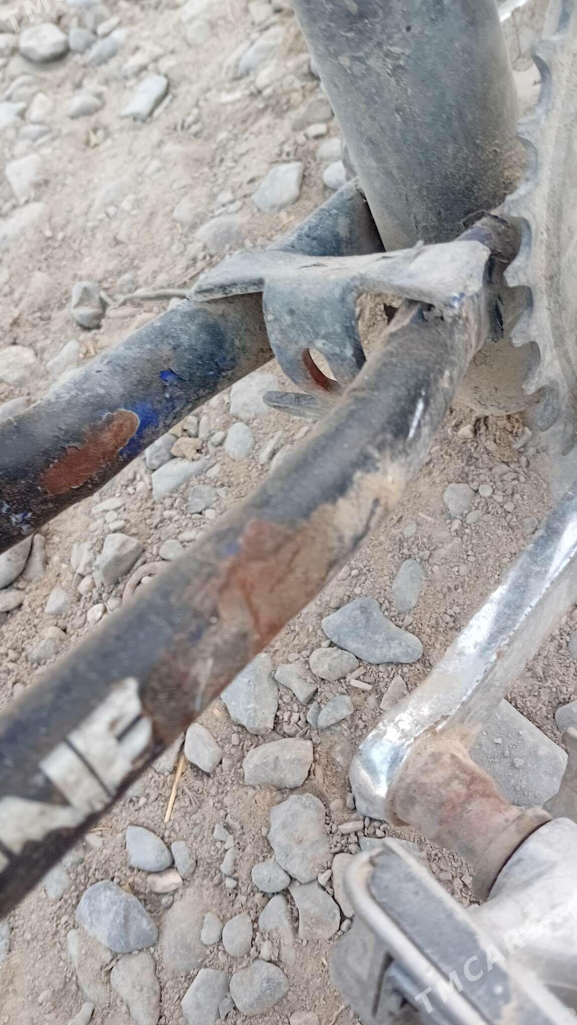 kama - Гёкдепе - img 2