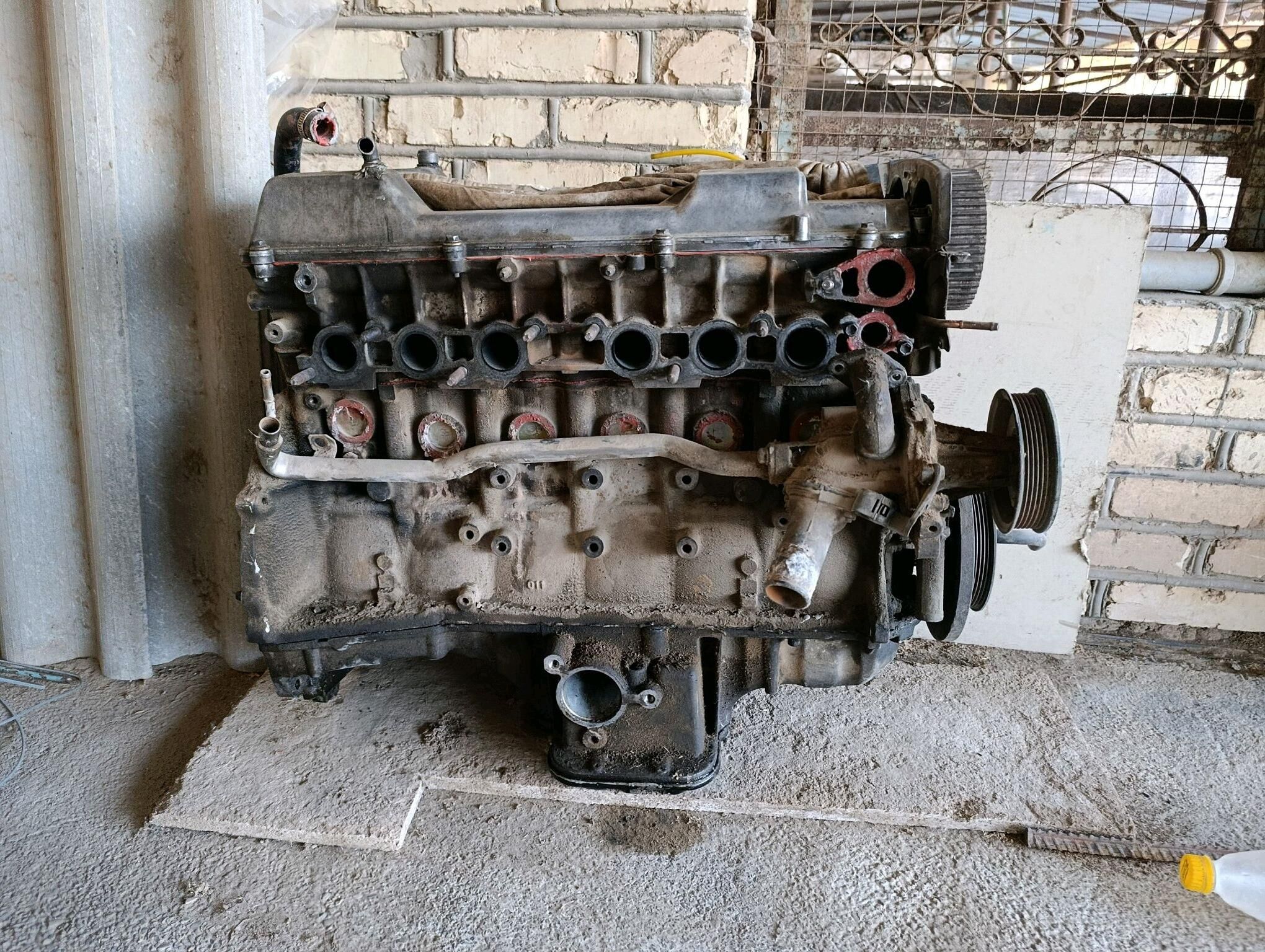 mark mator 1 200 TMT - Мары - img 2