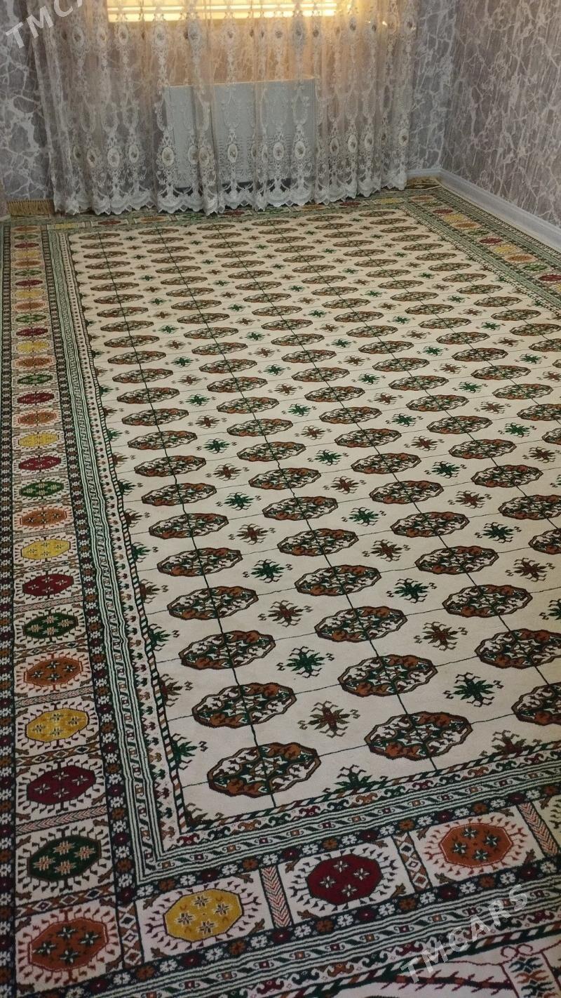 Haly tùrkùñ yùñ halysy - Gagarin köç, köne Howa menzili - img 2