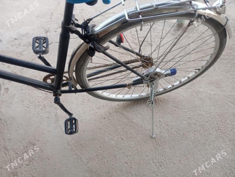 Welosepit - Ёлётен - img 3