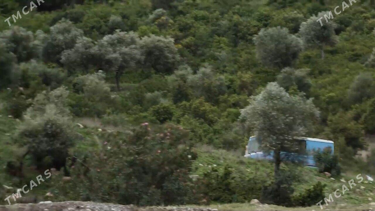 daca - Туркменабат - img 6