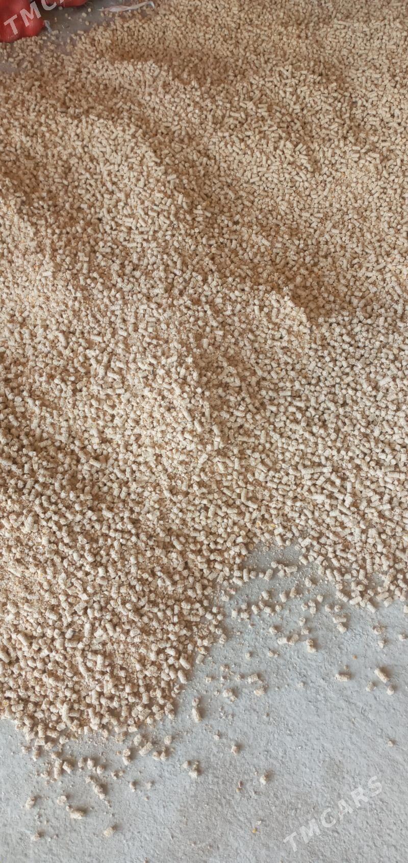 iým - Bäherden - img 2