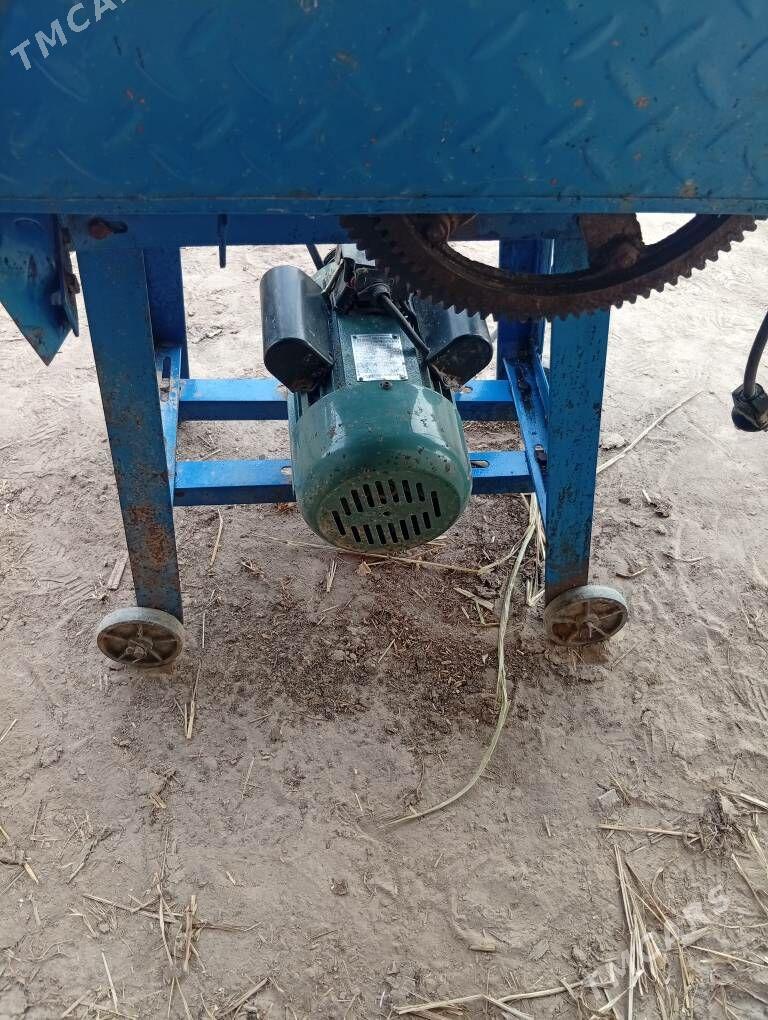 ot kyradogon - Шабатский этрап - img 2