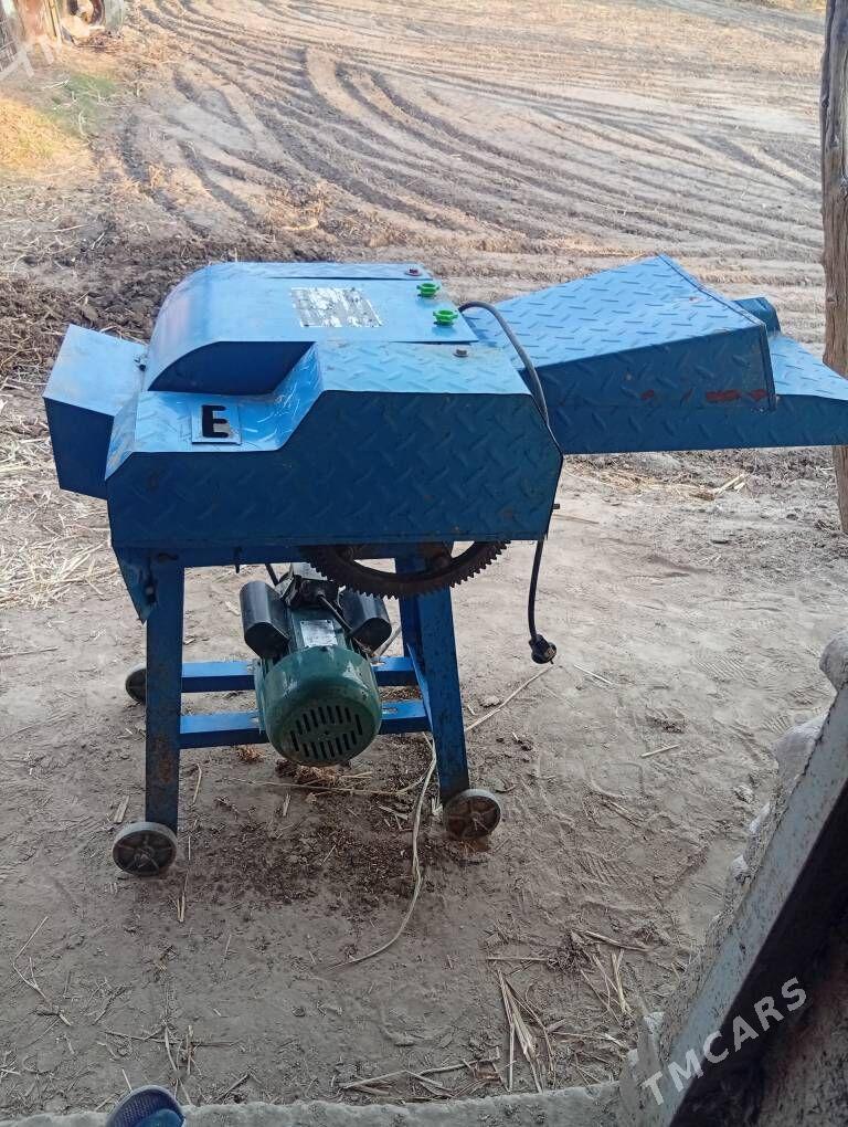 ot kyradogon - Шабатский этрап - img 1