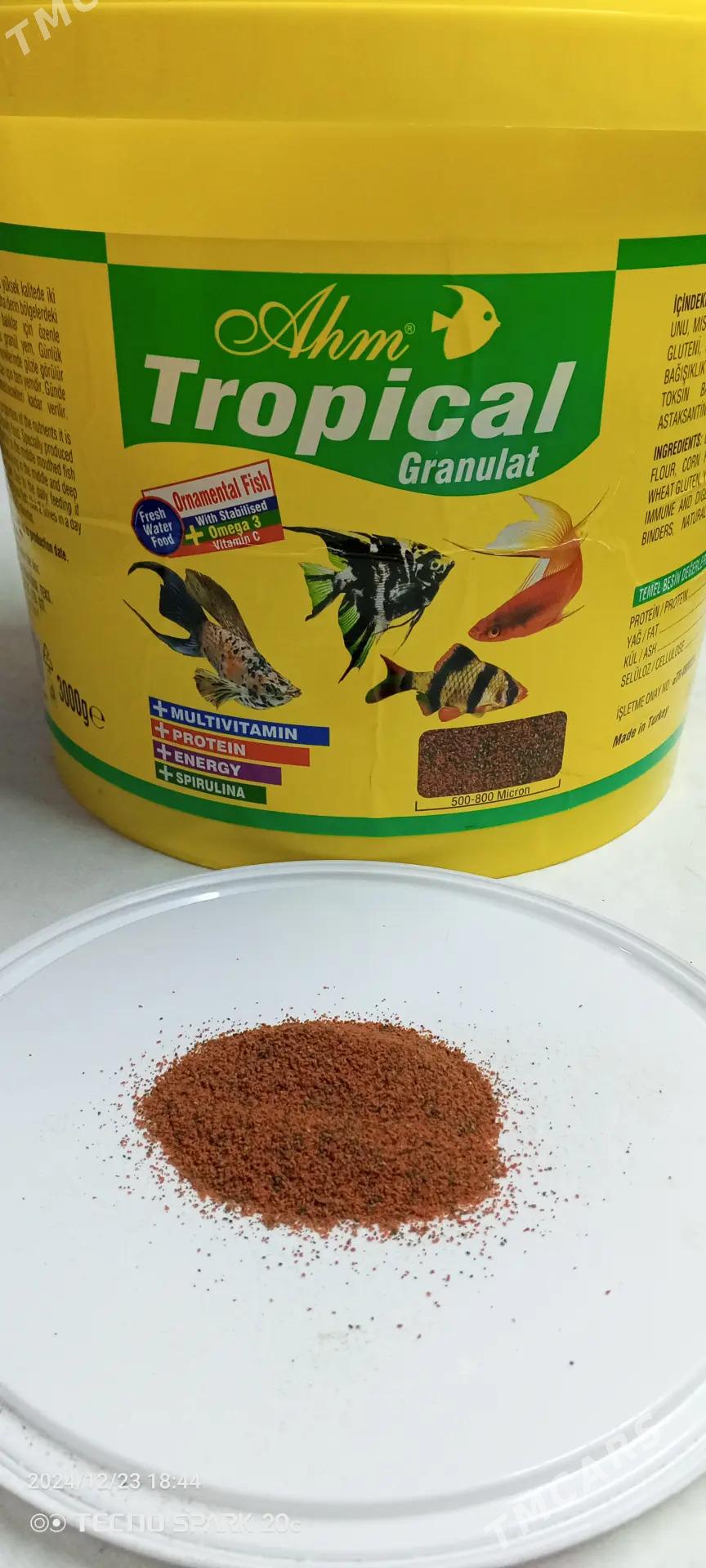 корм для рыб - Türkmenbaşy - img 2