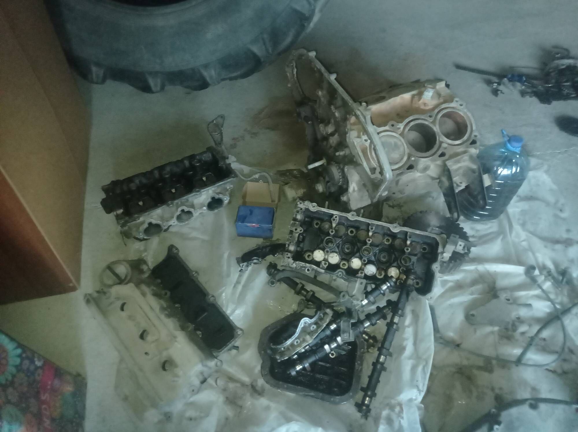 Infiniti Maksima 1 000 TMT - Aşgabat - img 1