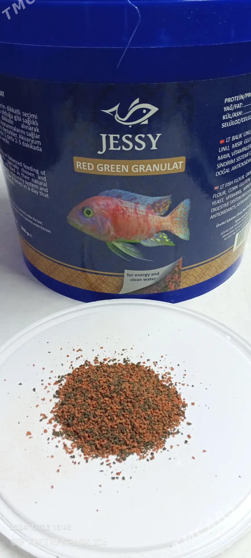 корм для рыб - Türkmenbaşy - img 5