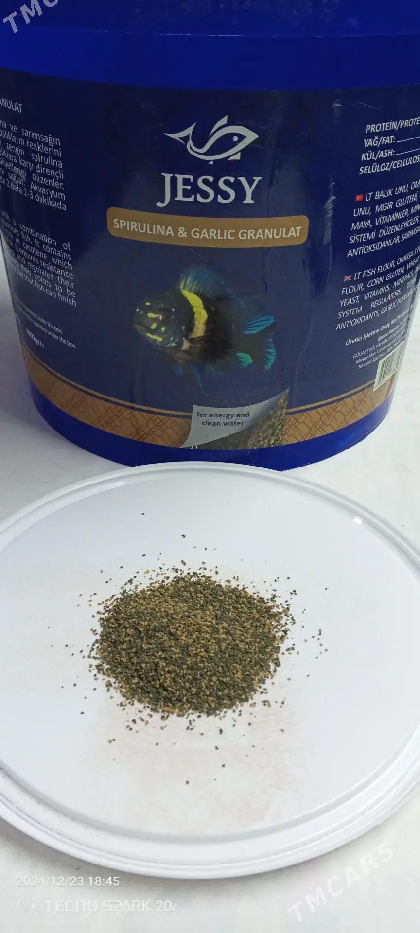 корм для рыб - Türkmenbaşy - img 3