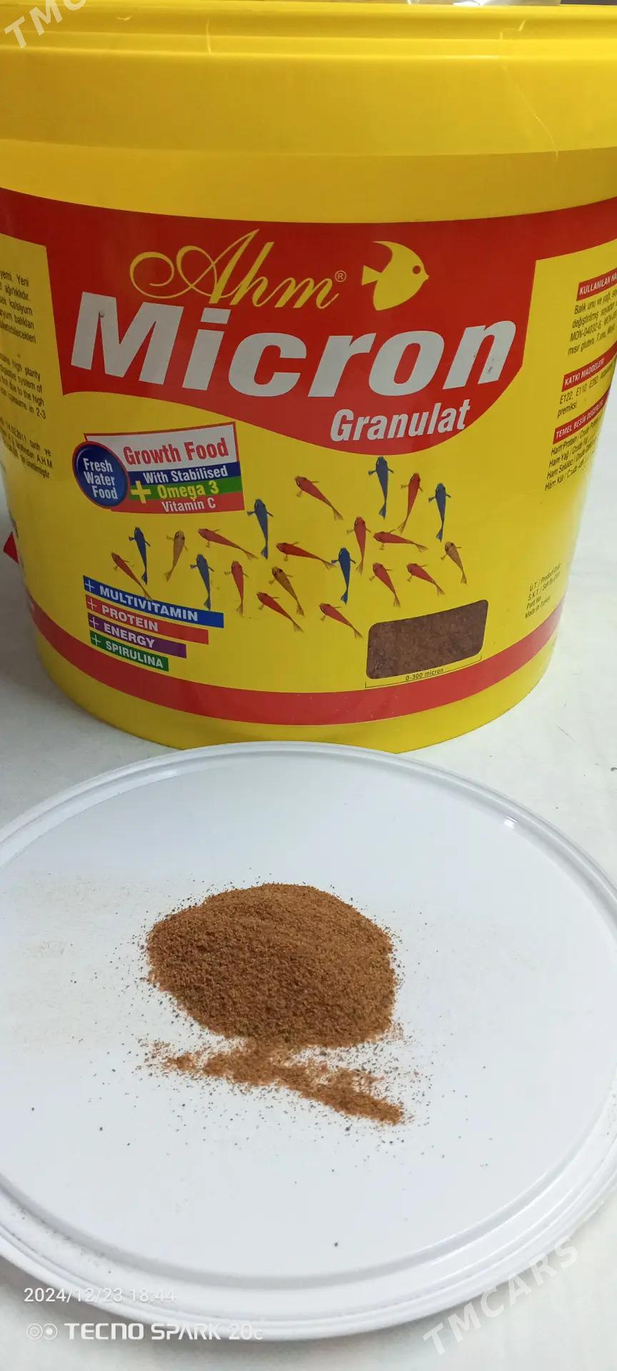 корм для рыб - Türkmenbaşy - img 6