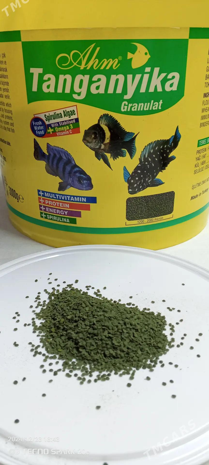 корм для рыб - Türkmenbaşy - img 7