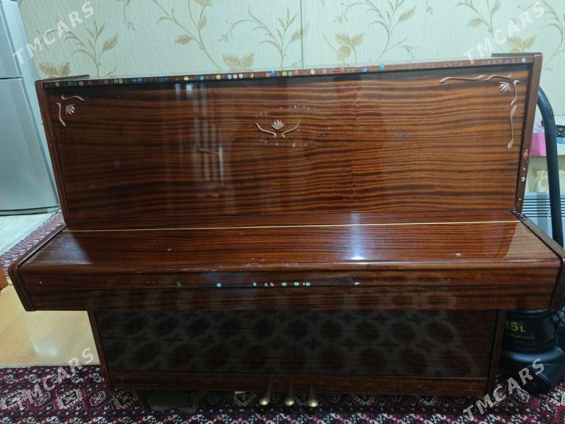 Belarus pianino - 30 mkr - img 2