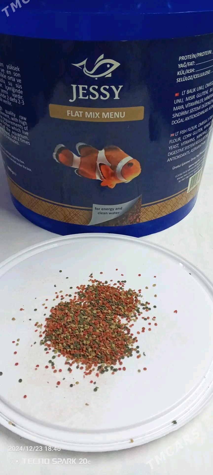 корм для рыб - Türkmenbaşy - img 4