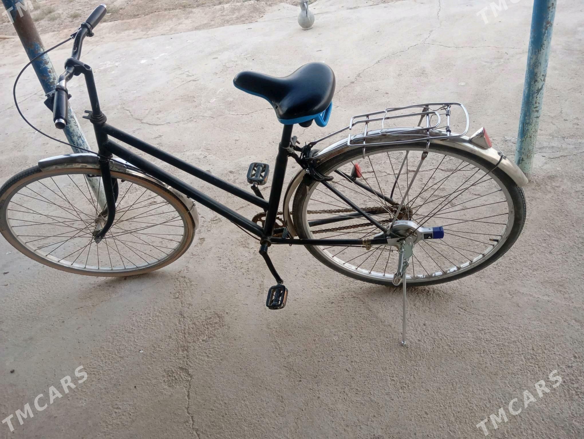 Welosepit - Ёлётен - img 2