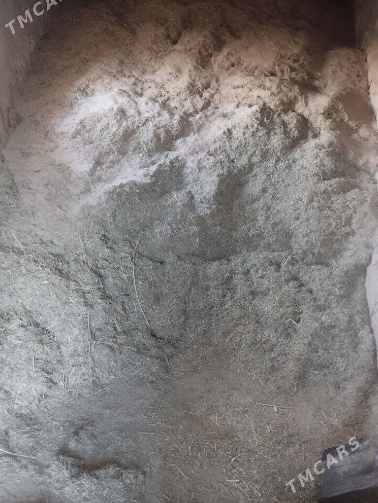 От овейан. - Достлук - img 4