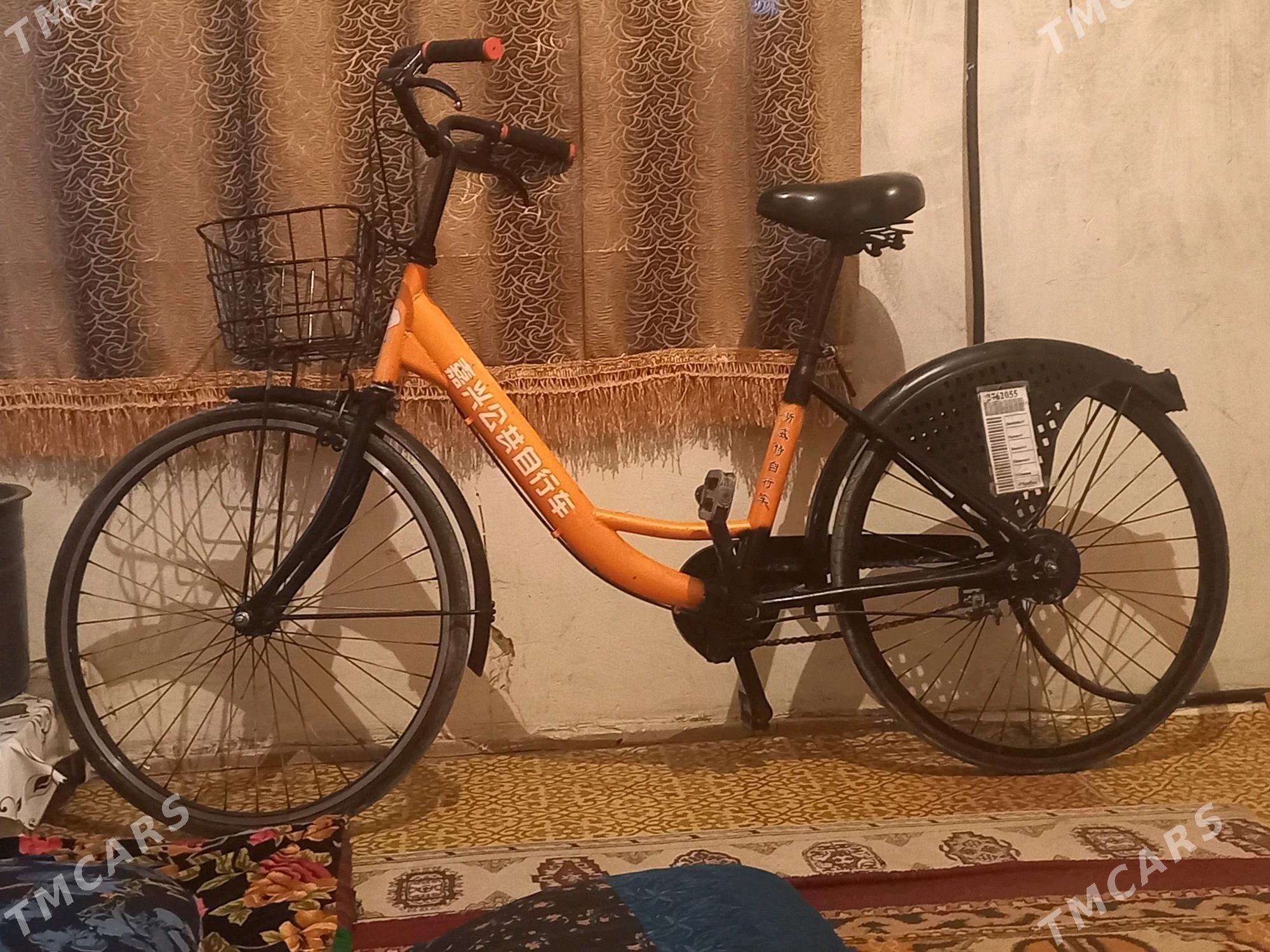 welsepet - Ашхабад - img 2