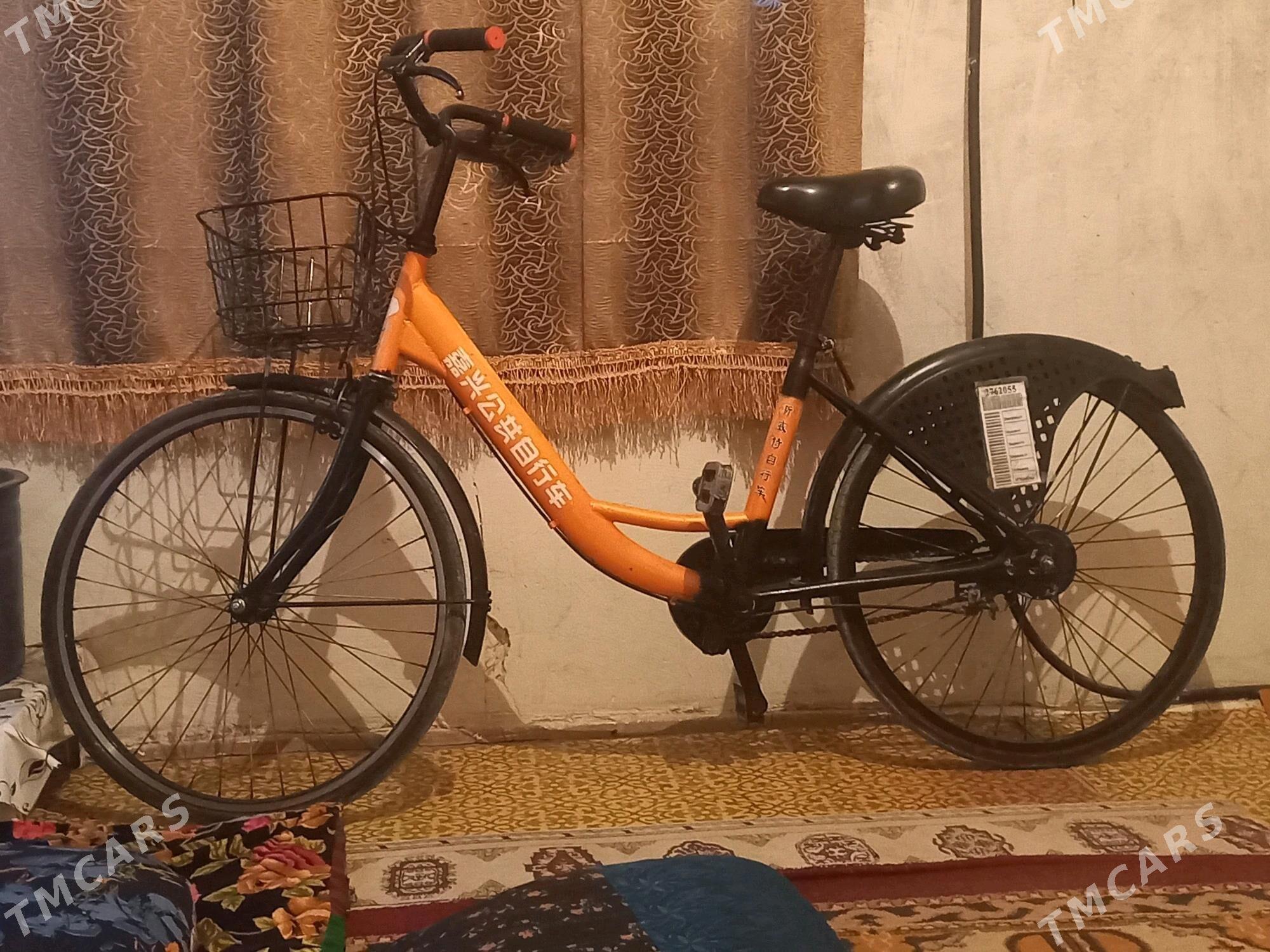 welsepet - Ашхабад - img 3