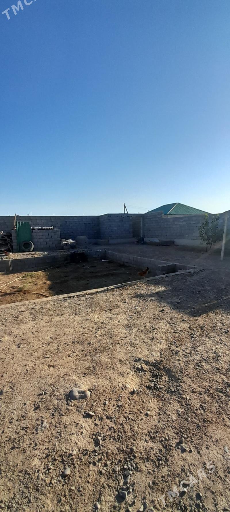 Anew optny - Änew - img 3