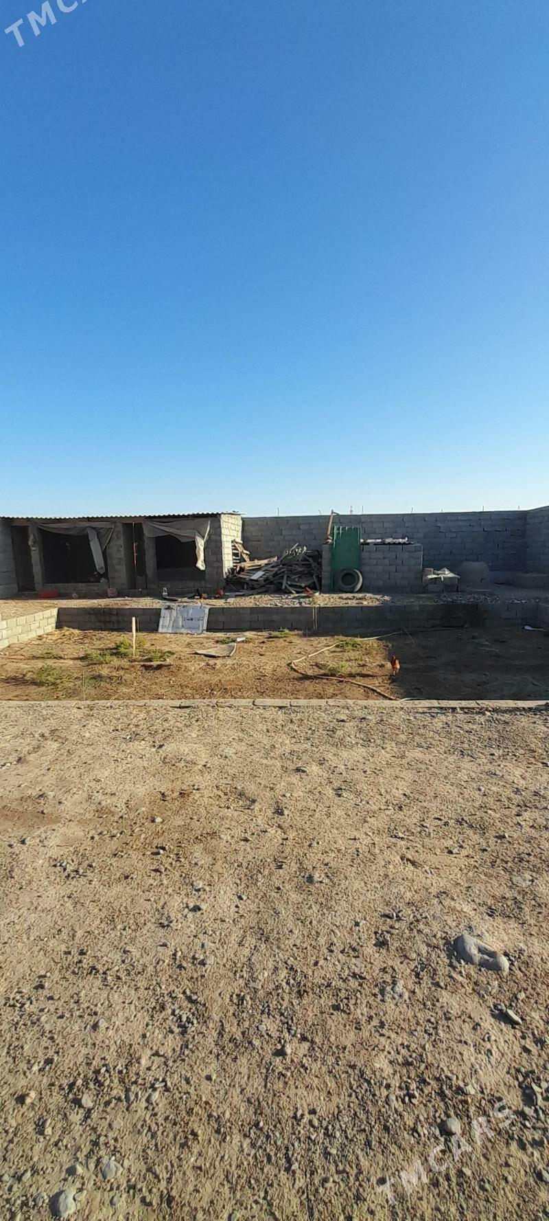 Anew optny - Änew - img 4