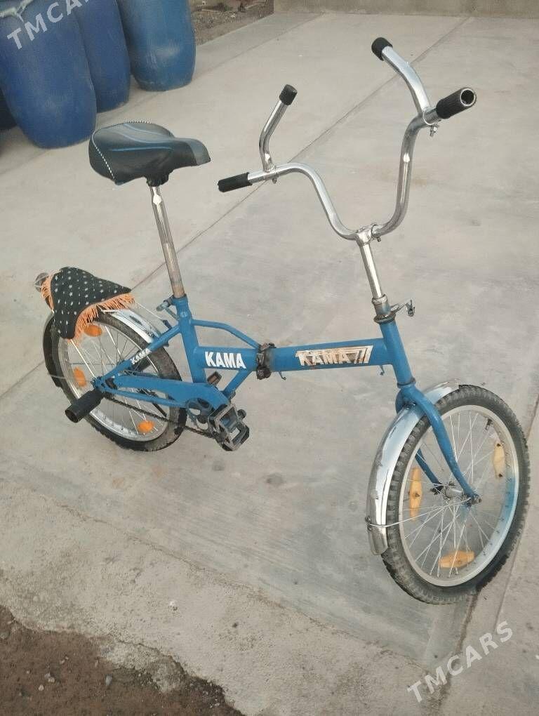 Kama Tigir - Анев - img 3