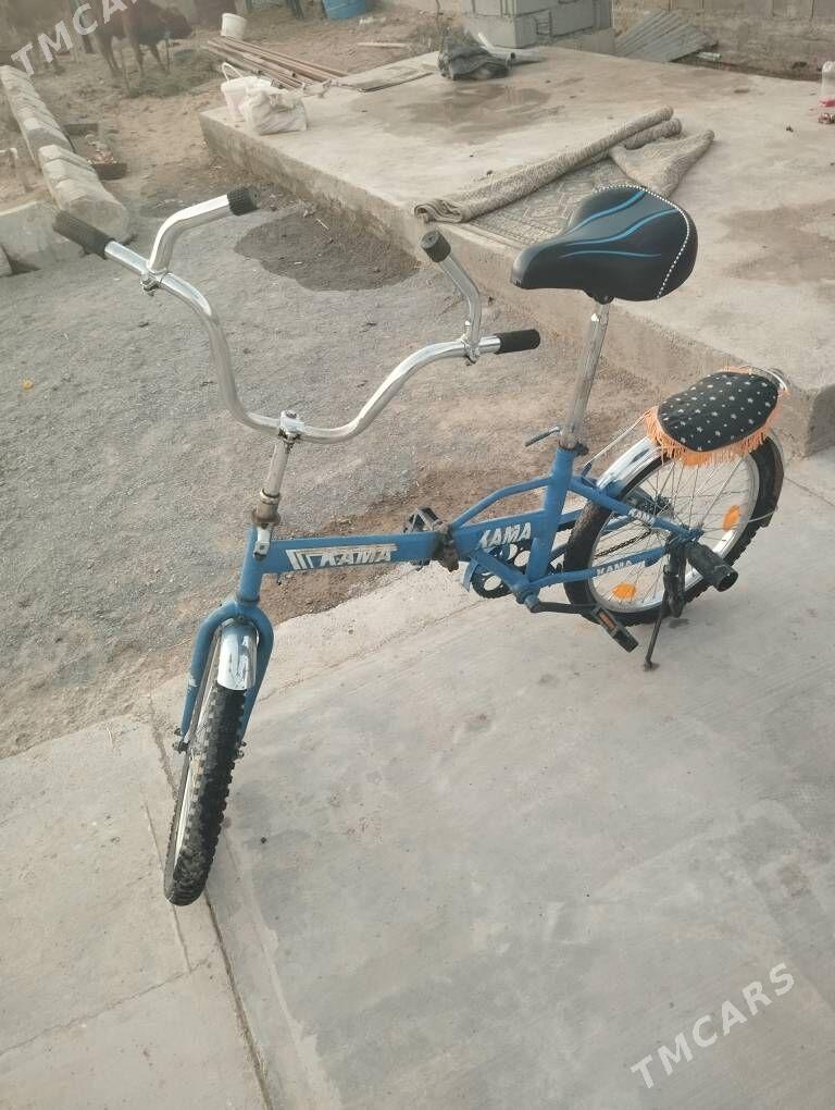 Kama Tigir - Анев - img 2