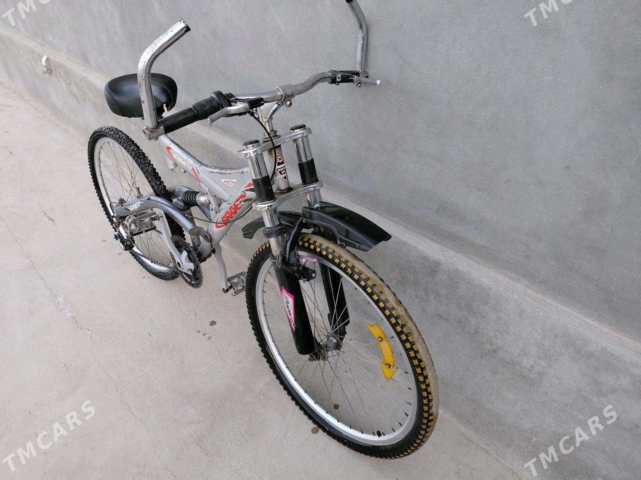 tigir - Gökdepe - img 1