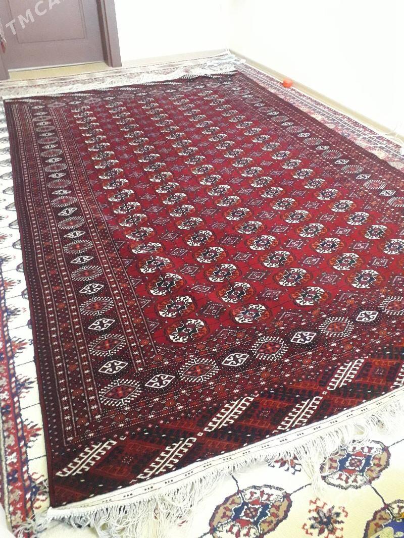 El Haly - Köşi - img 2