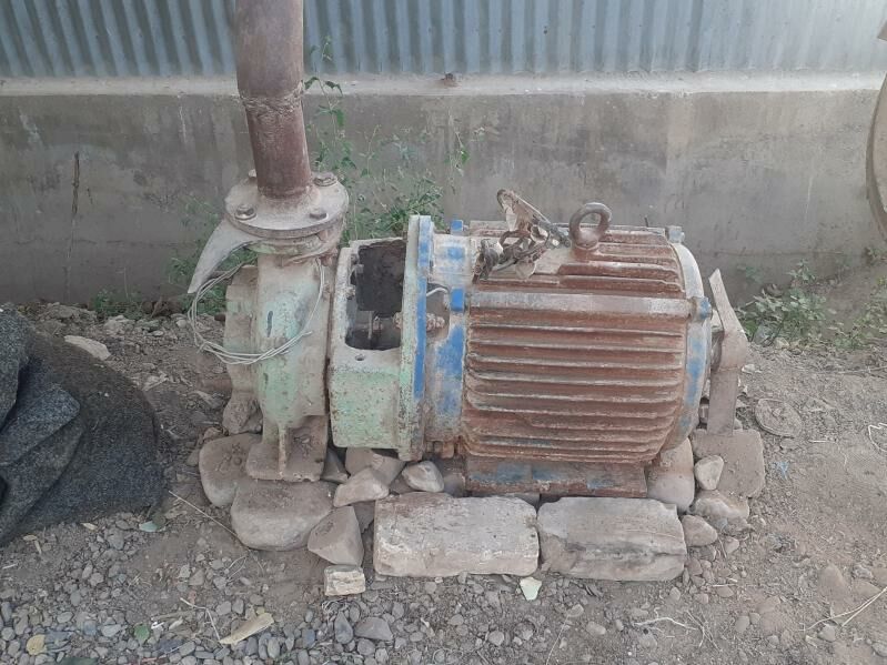 Generator 6 000 TMT - Sakarçäge - img 1