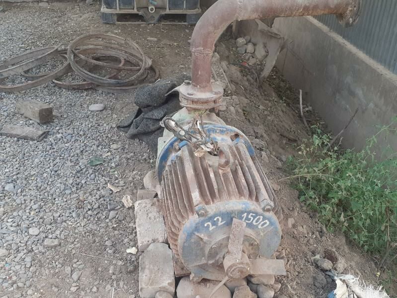 Generator 6 000 TMT - Sakarçäge - img 2