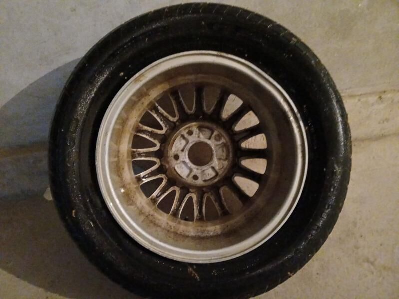 Diska 300 TMT - Дянев - img 2