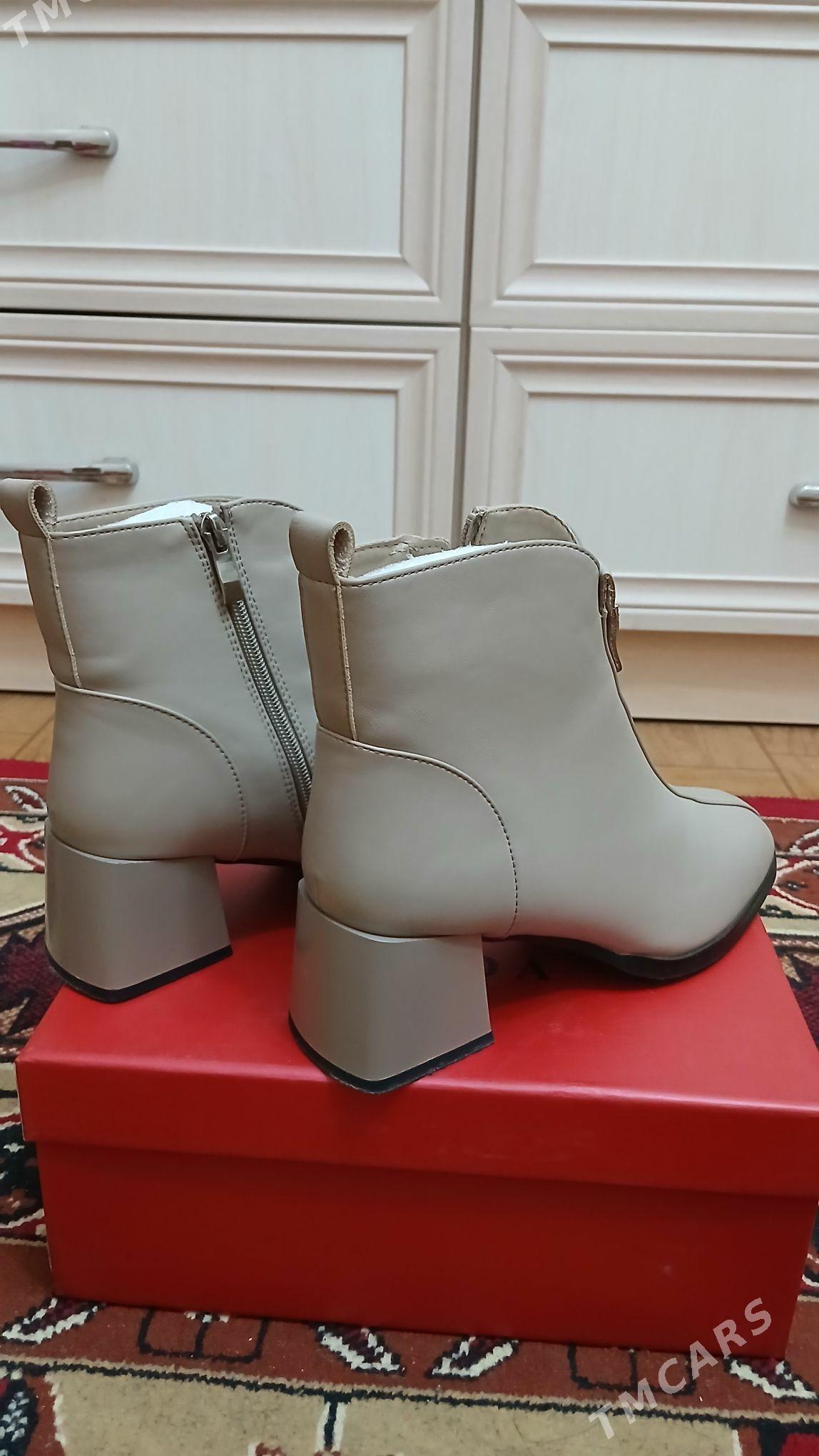 adik - Daşoguz - img 3