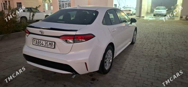 Toyota Corolla 2021 - 243 000 TMT - Garagum etraby - img 6