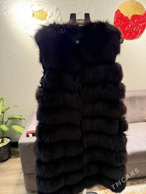 натуральный песец - Ашхабад - img 2