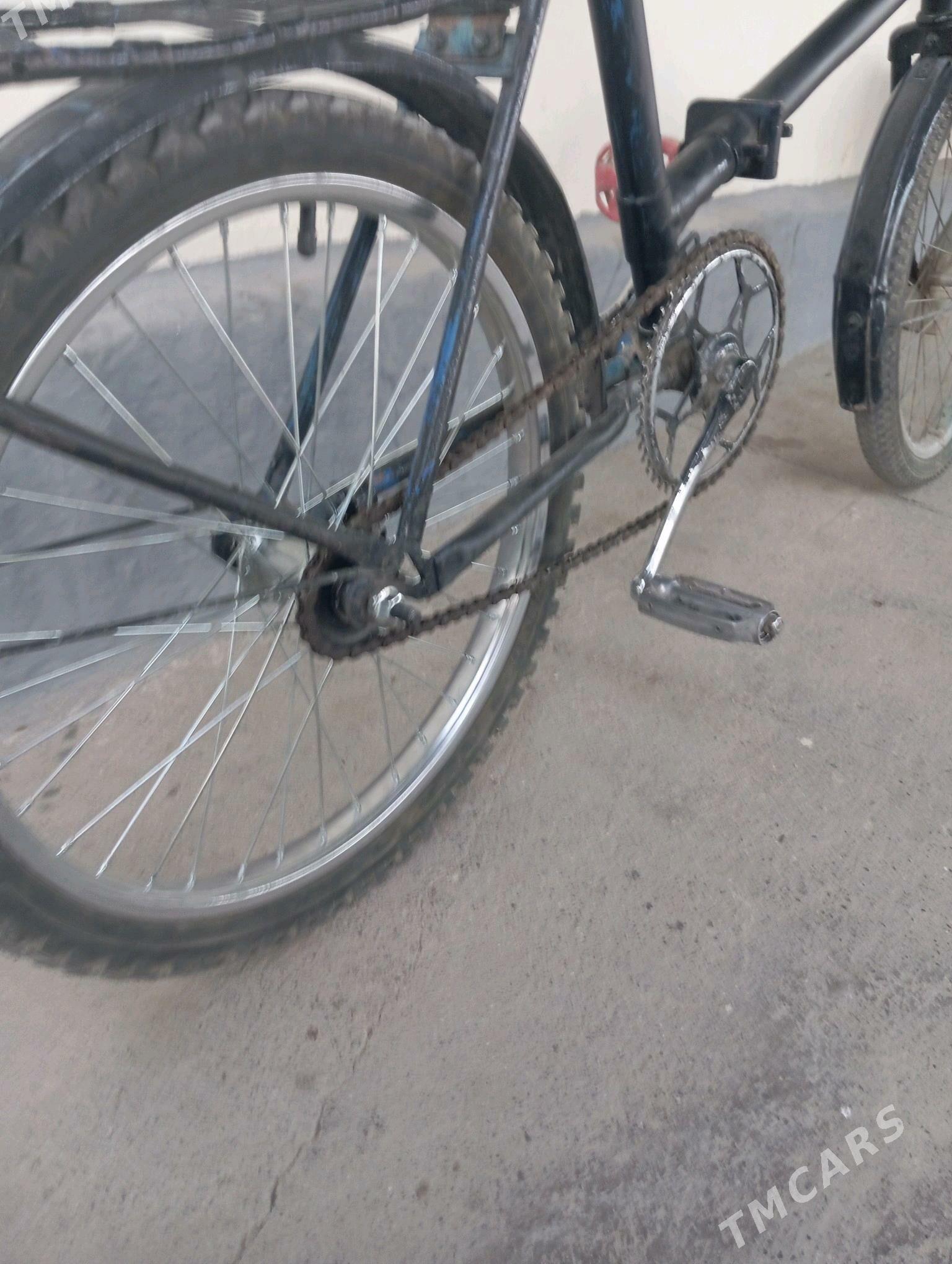 rasyski kama - Bekrewe - img 2