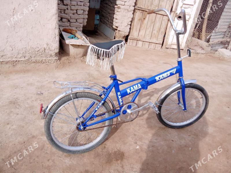 kama - Daşoguz - img 2