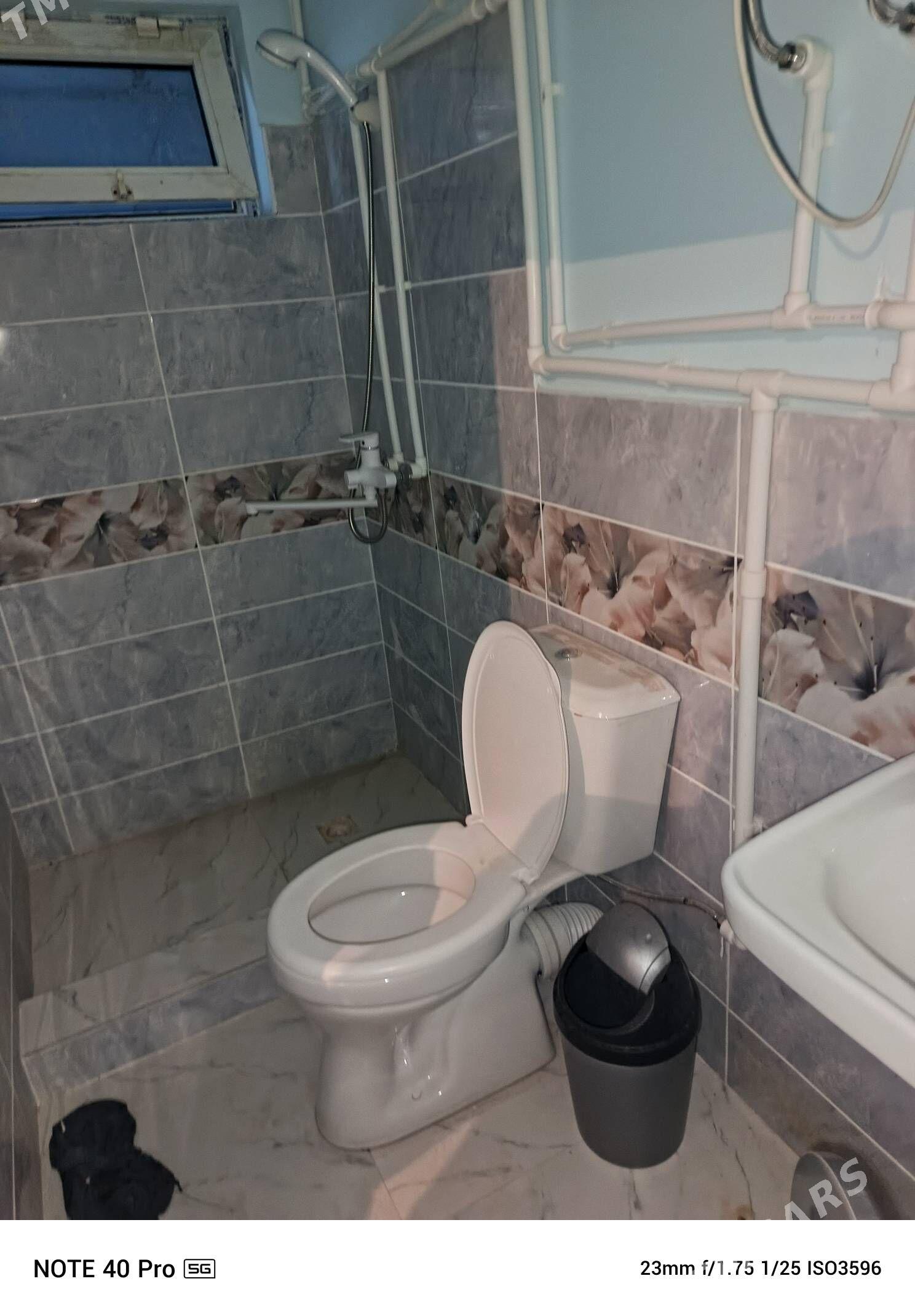 kreyne jay - Туркменбаши - img 3