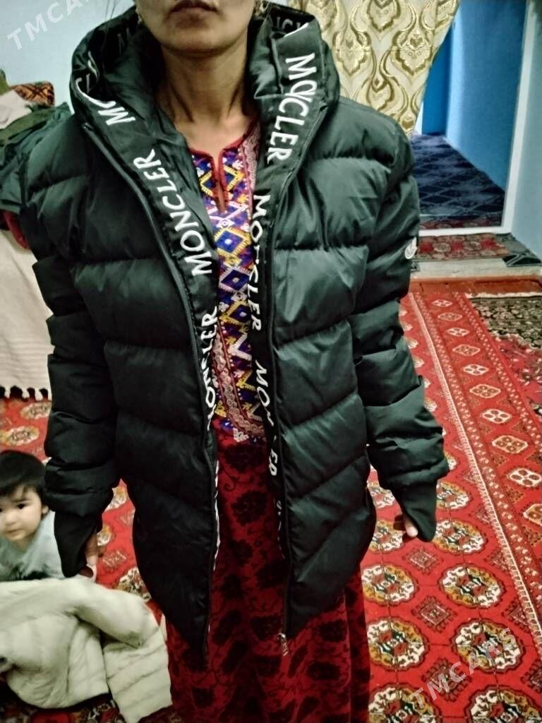 kurtkalar - Daşoguz - img 2