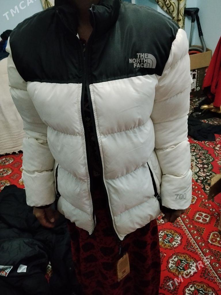 kurtkalar - Daşoguz - img 1