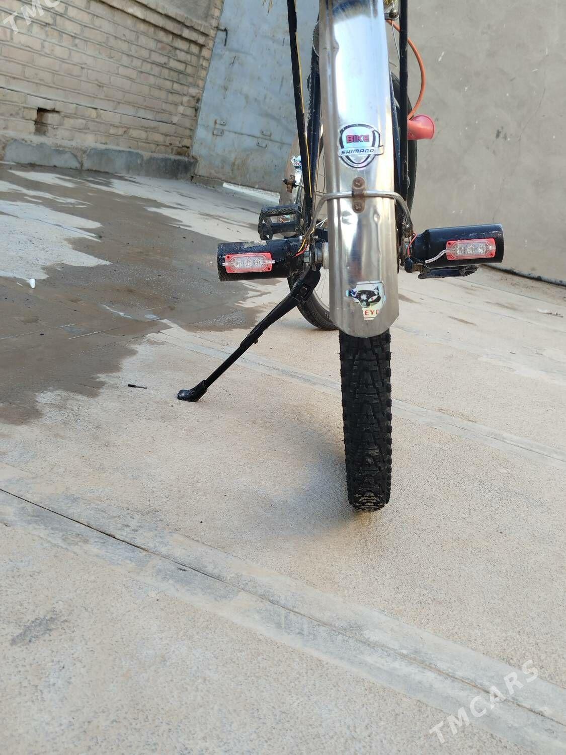 welsepid - Sakarçäge - img 7