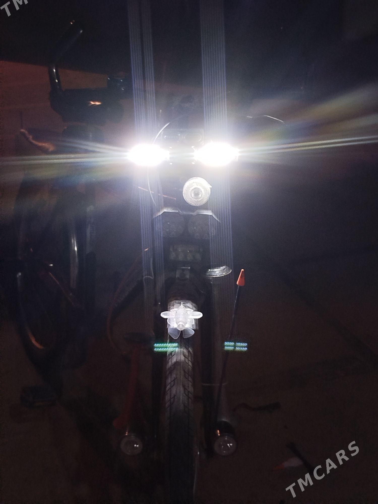 welsepid - Sakarçäge - img 3