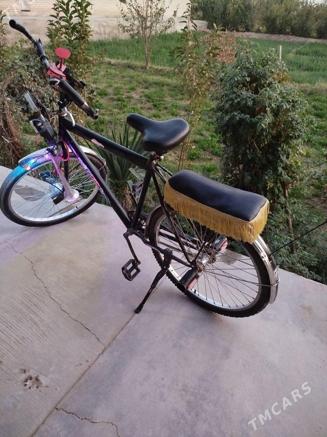 welsepid - Sakarçäge - img 5