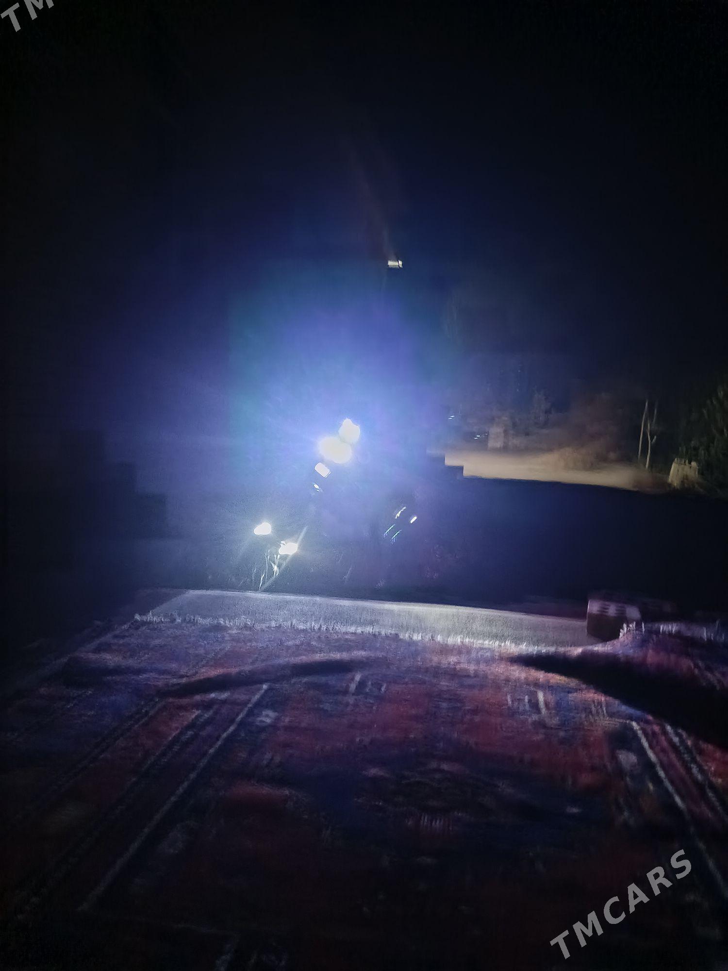 welsepid - Sakarçäge - img 8