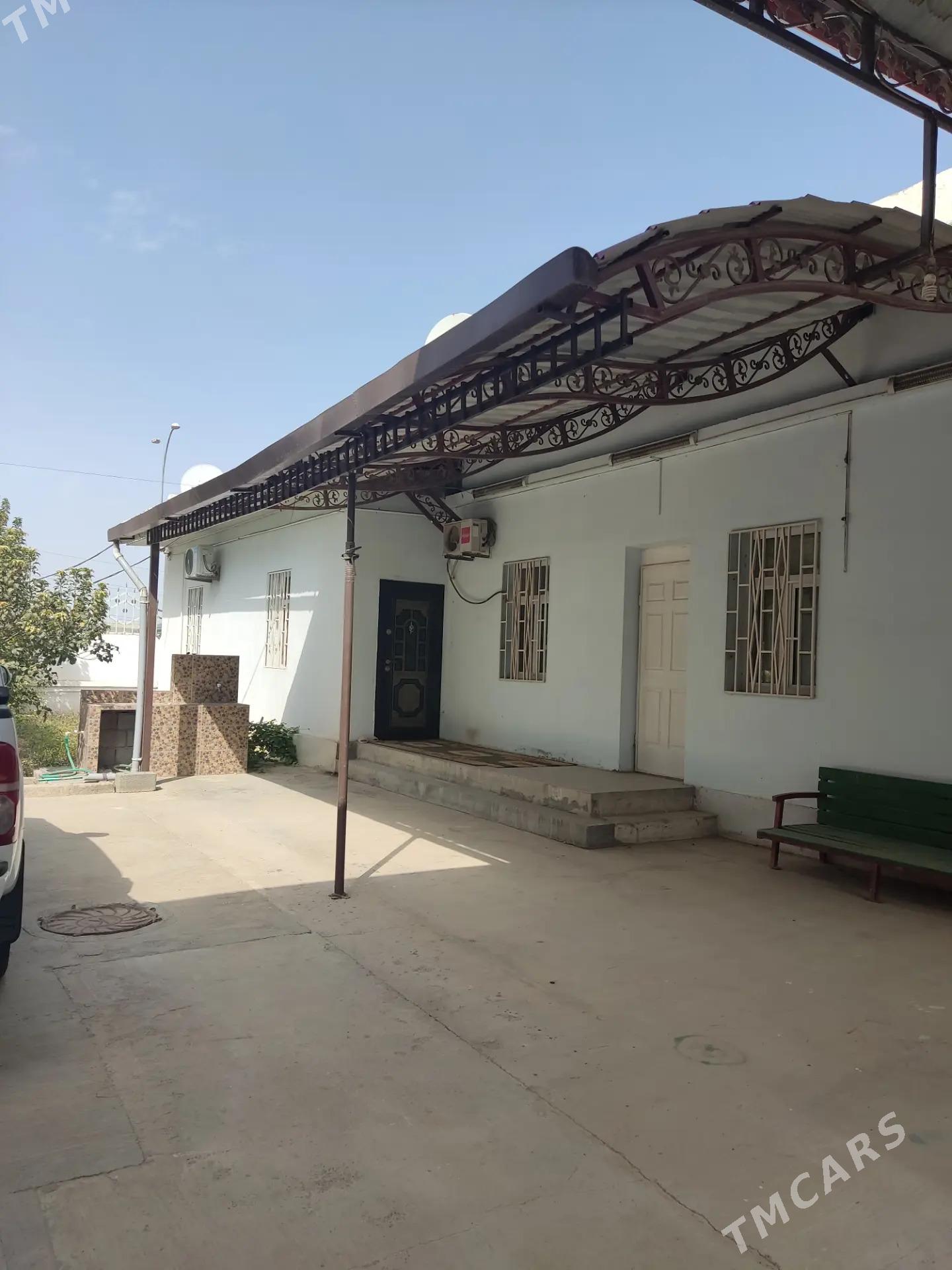 Anew ahal koce kates jay - Ашхабад - img 2