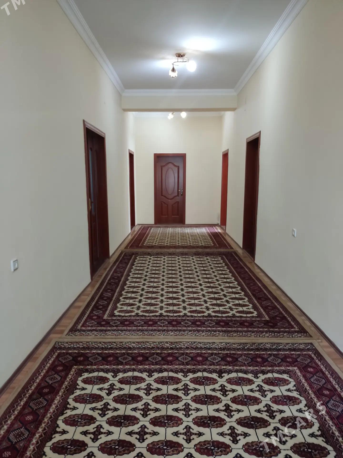 Anew ahal koce kates jay - Ашхабад - img 10