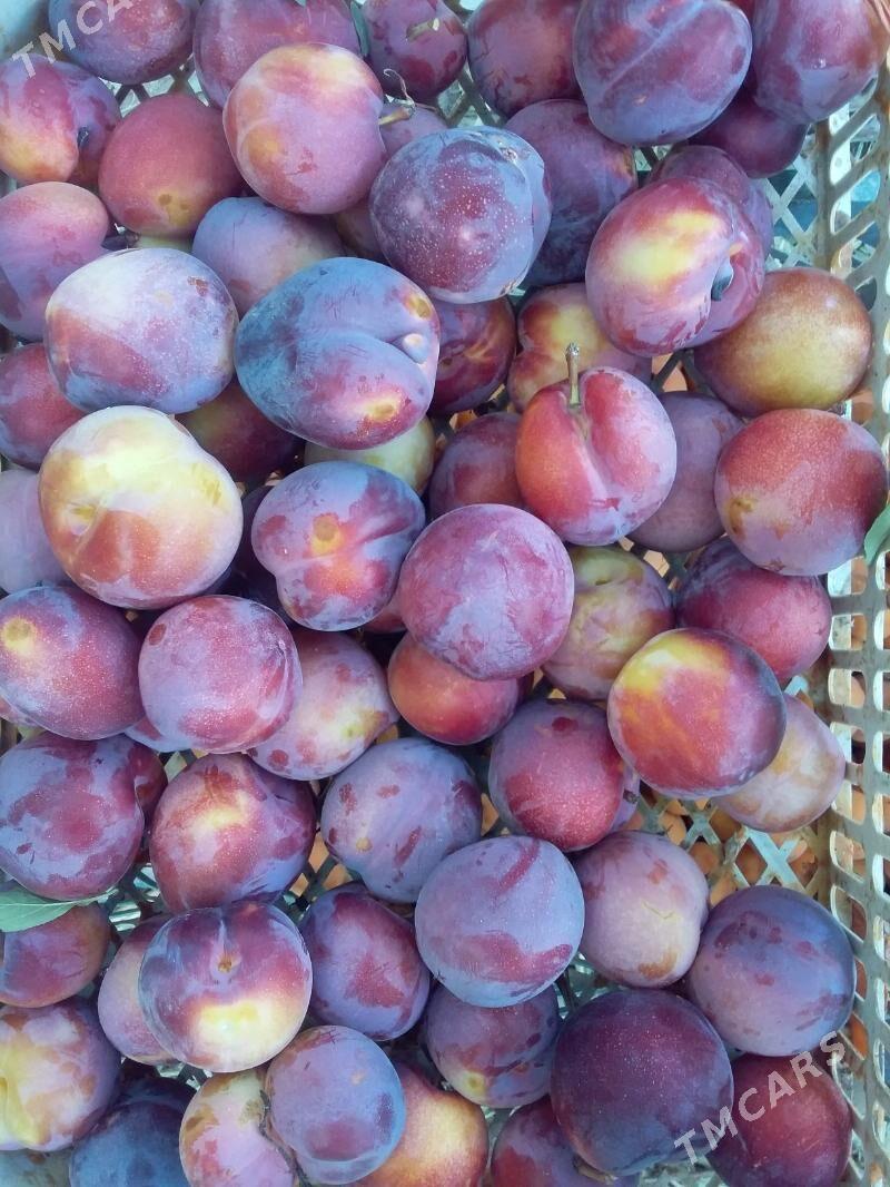 дача - Туркменабат - img 5