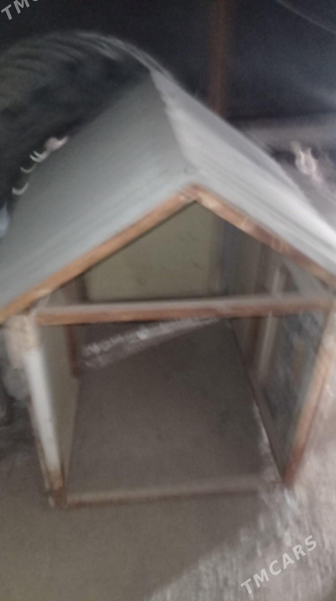 itin oyi gujugiñ oyi domik - Daşoguz - img 1