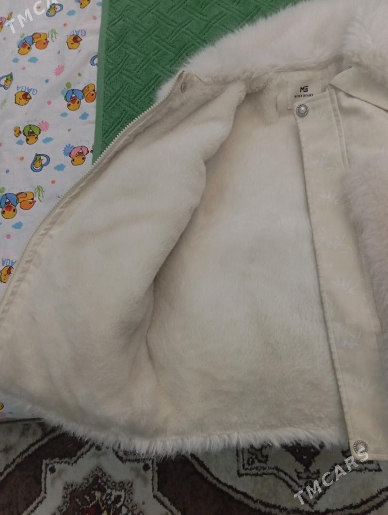 palto - Bagyr - img 2