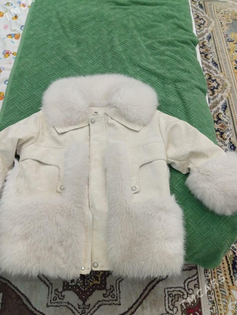 palto - Bagyr - img 1