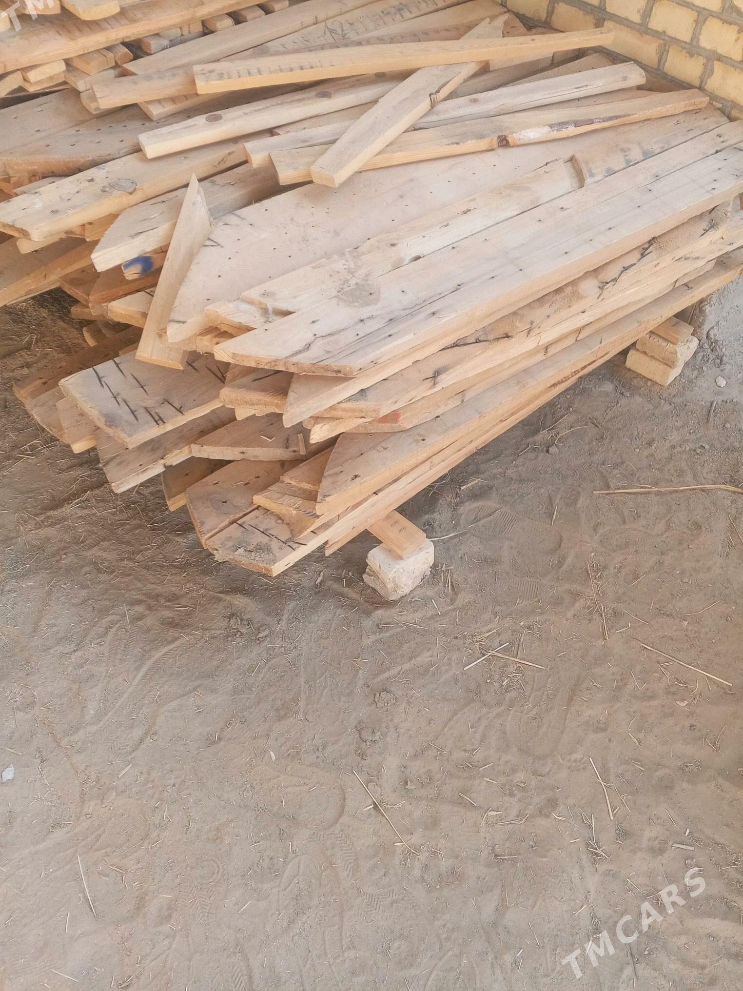 Agaç polluk - Сакарчага - img 4