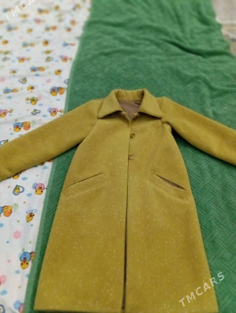 palto - Bagyr - img 1