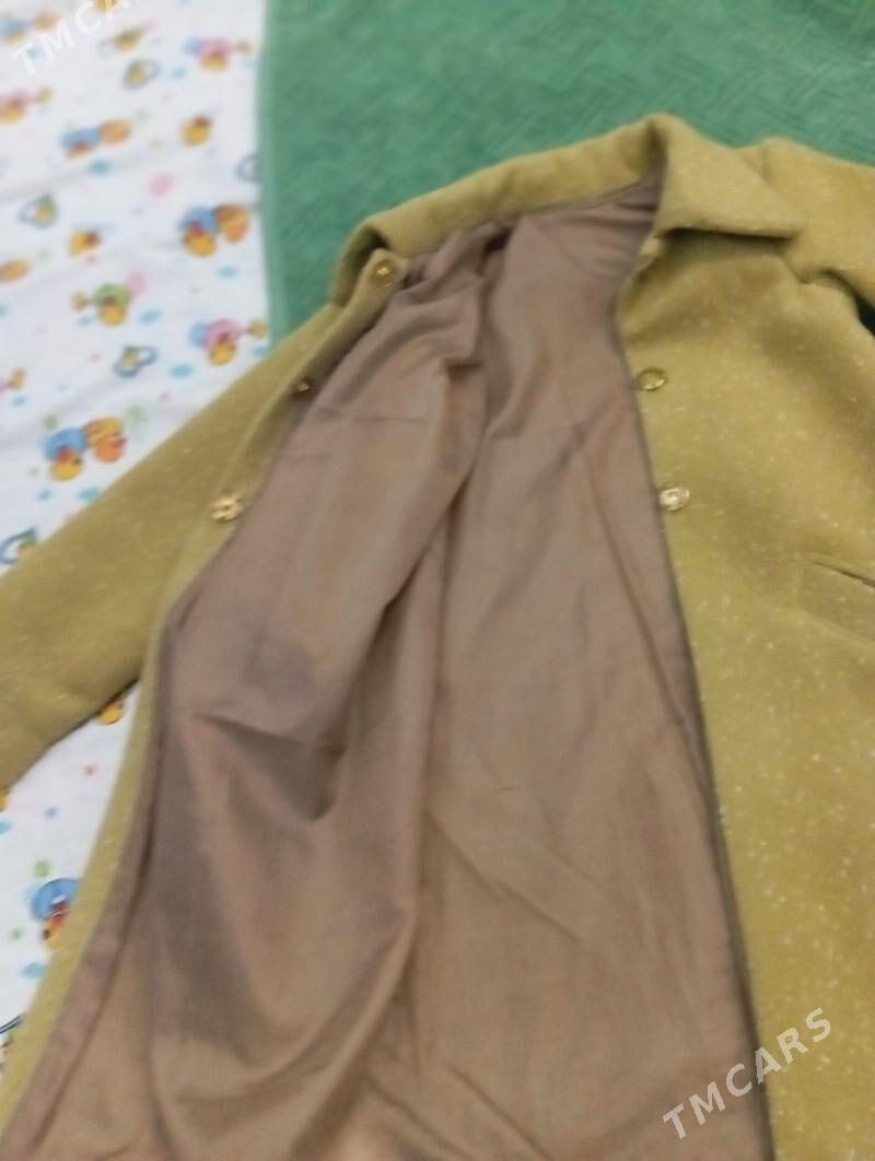 palto - Bagyr - img 2